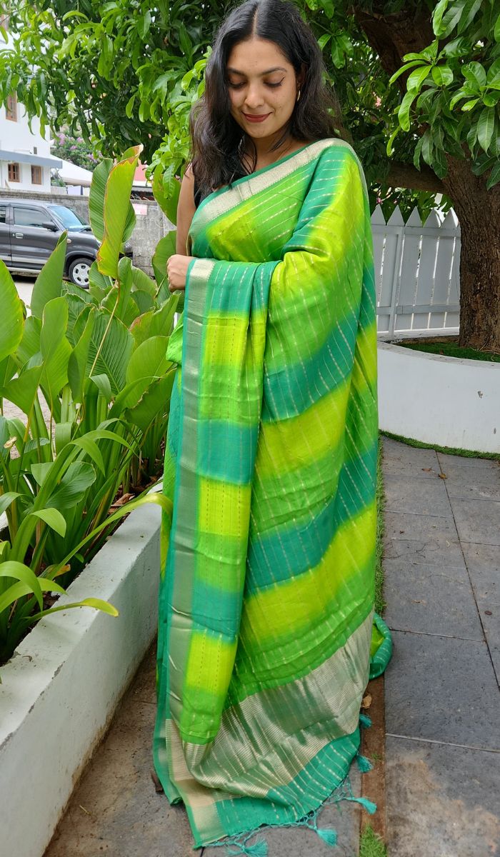 SS11 - Soft Silk Saree main image 0