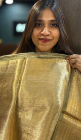 TISSUE SILK SAREE 16042516
