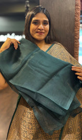 ORGANZA SAREE 14112463