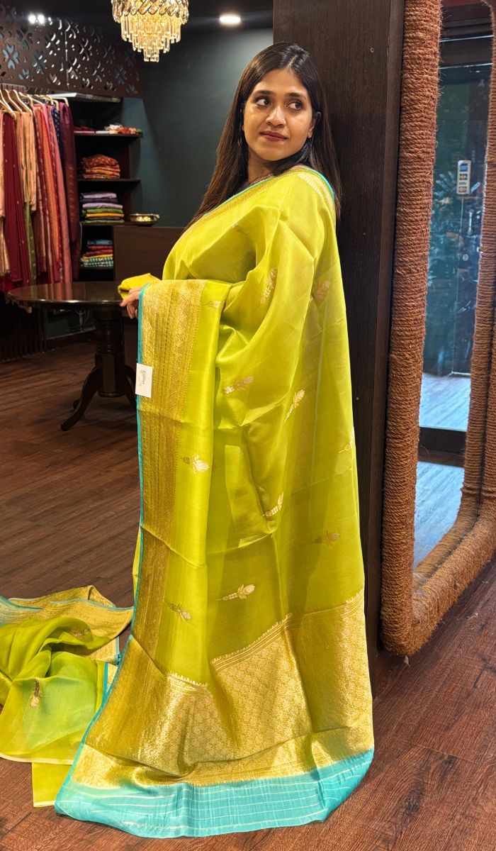 ORGANZA SAREE 22052535 – Ashima Fashion Store