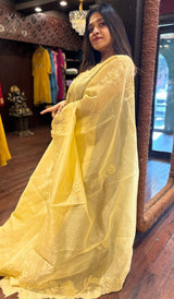 SEMI ORGANZA SAREE 01092523