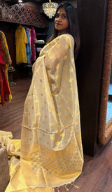 TISSUE SAREE 010925118