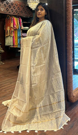 TISSUE SAREE 11092520