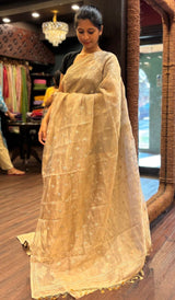 TISSUE SAREE 1712257