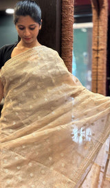 TISSUE SAREE 1712257