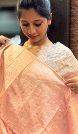 TISSUE ORGANZA SAREE 1712251