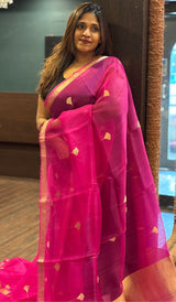 ORGANZA SAREE 23012623