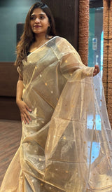 ORGANZA SAREE 23012638