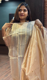 ORGANZA SAREE 23012638