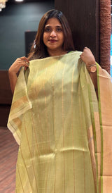 ORGANZA SAREE 23012625