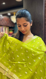 SOFT SILK SRAEE 01092558