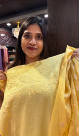 ORGANZA SAREE 1605252