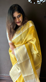 TISSUE SAREE  2608245