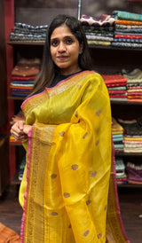 ORGANZA SAREE 08042515