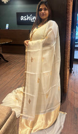 ORGANZA SAREE 23012626