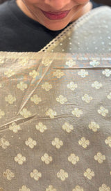 ORGANZA SAREE 2306265
