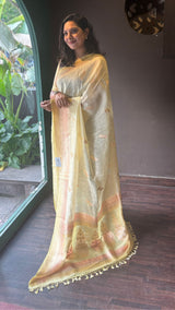 LINEN SAREE 05092312
