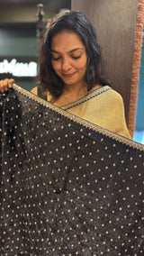 TISSUE ORGANZA SAREE 24012562