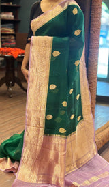 ORGNZA SAREE 1805261