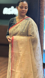 SEMI ORGANZA SAREE 10072610