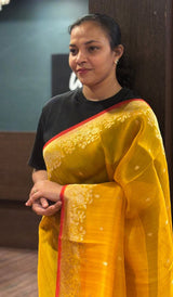 ORGANZA SAREE 19092612