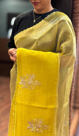 TISSUE ORGANZA SAREE 22062636