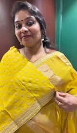 TISSUE ORGANZA SAREE 0702267