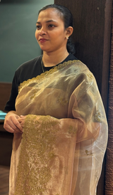 TISSUE ORGANZA SAREE 15082631