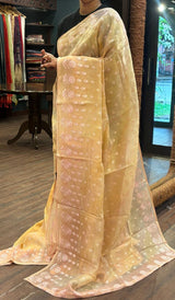 ORGANZA SAREE 0805261
