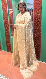 TISSUE ORGANZA SAREE 1712256
