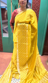 TISSUE SAREE 23012669