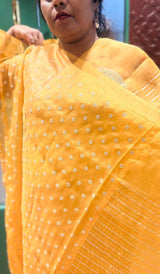 ORGANZA SAREE 22062646