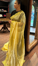 TISSUE ORGANZA SAREE 2810266