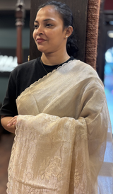 TISSUE ORGANZA SAREE 22062639