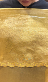 TISSUE ORGANZA SAREE 22062649
