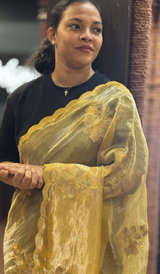 TISSUE ORGANZA SAREE 22062649