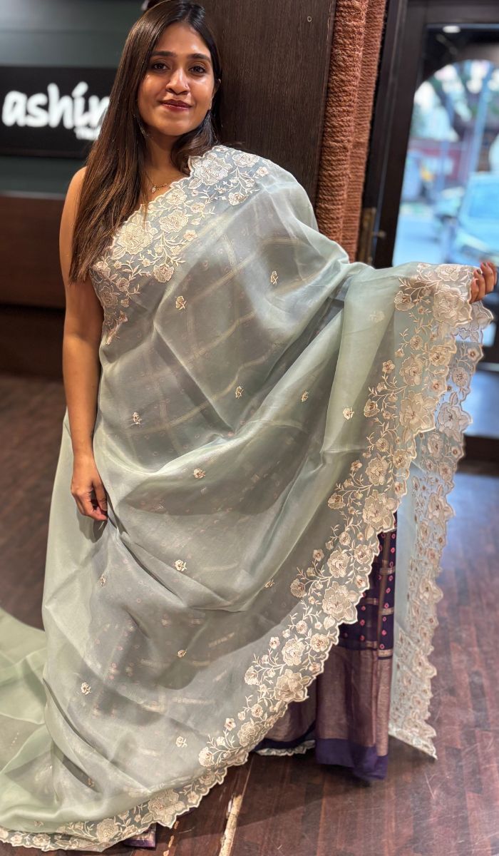 ORGANZA SAREE 0804253