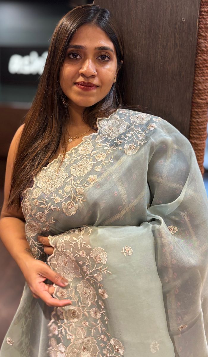ORGANZA SAREE 0804253