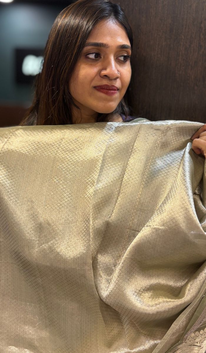 TISSUE SILK SAREE 16042515