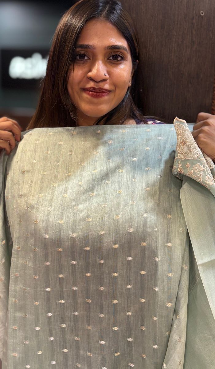 ORGANZA SAREE 0804253