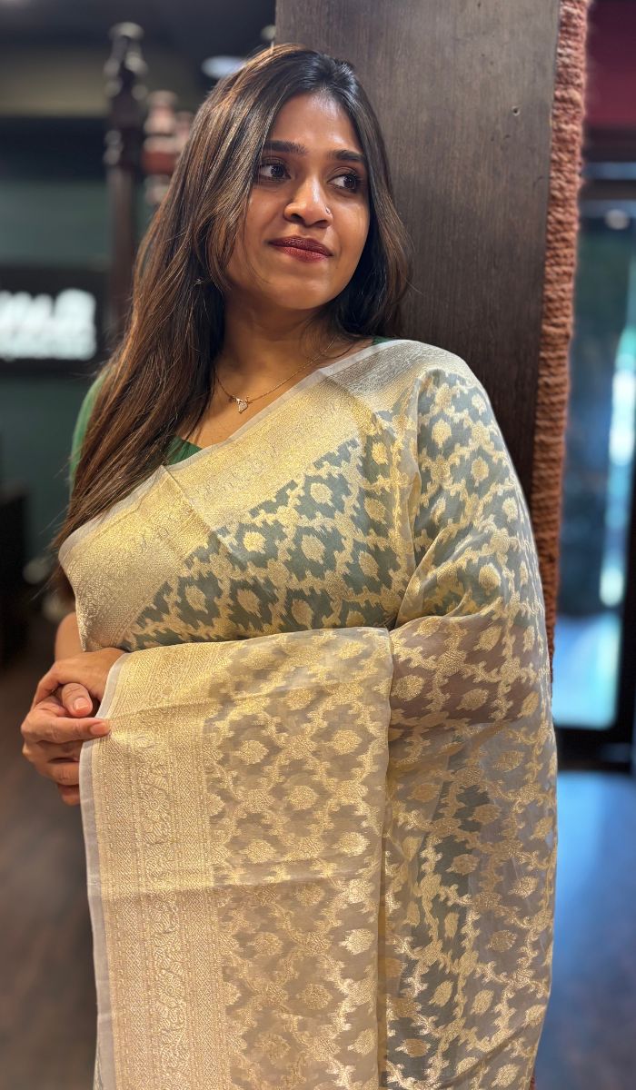 ORGANZA SAREE 14112421