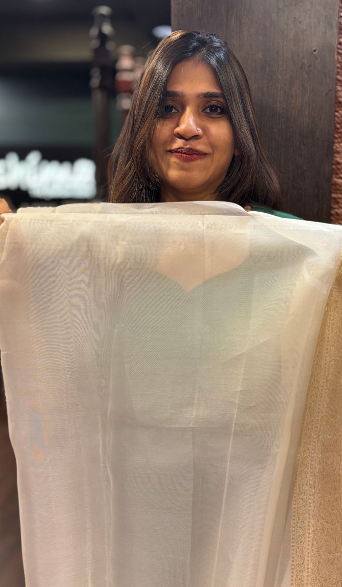 ORGANZA SAREE 14112421