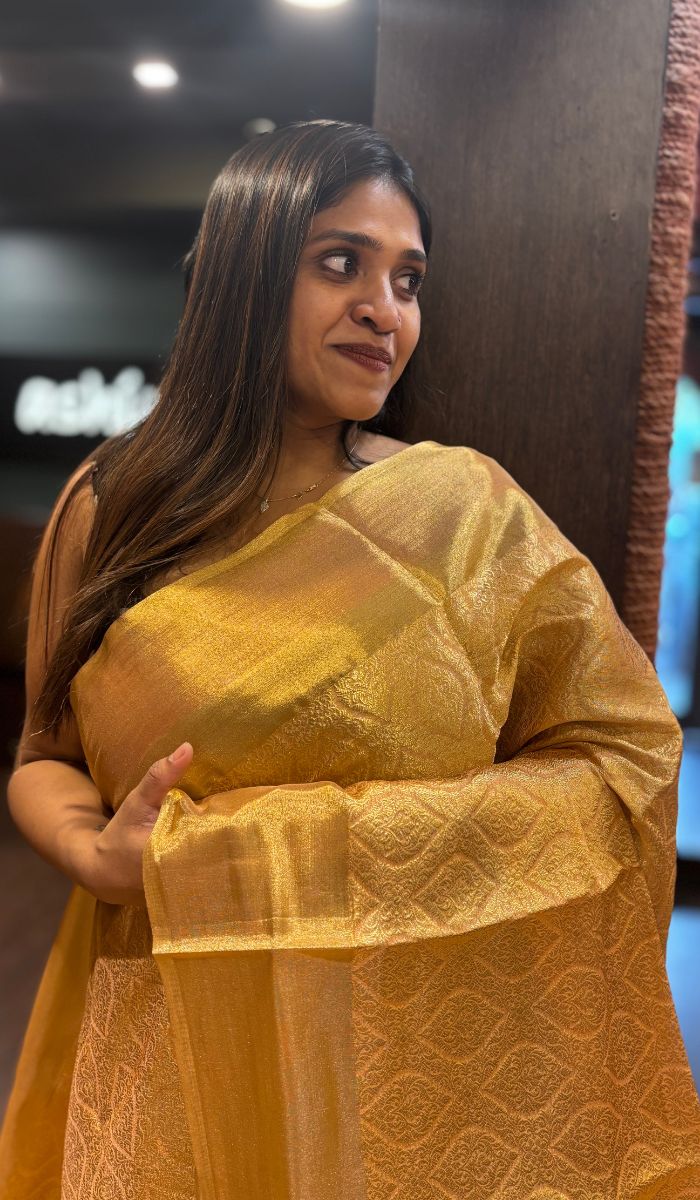 SEMI TISSUE SAREE 02022511