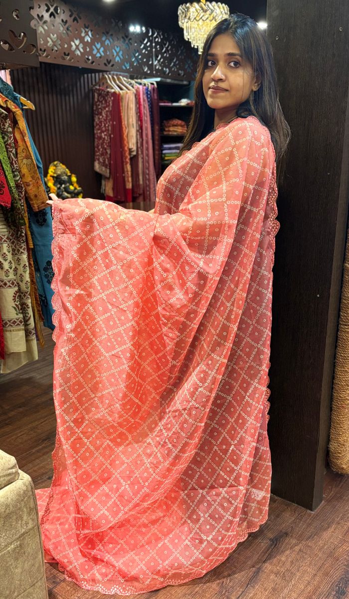 SEMI ORGANZA SAREE 220525142 – Ashima Fashion Store