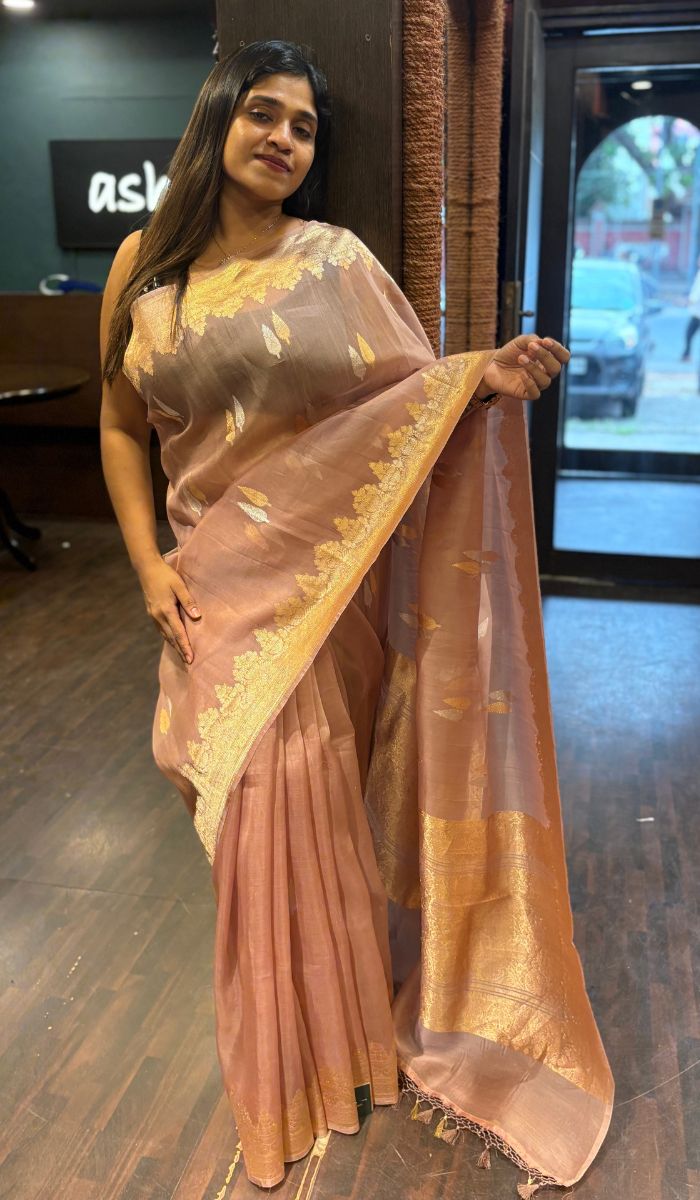 ORGANZA SAREE 0602251