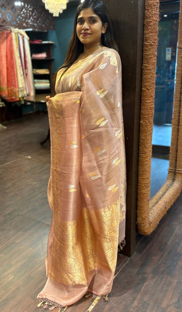 ORGANZA SAREE 0602251