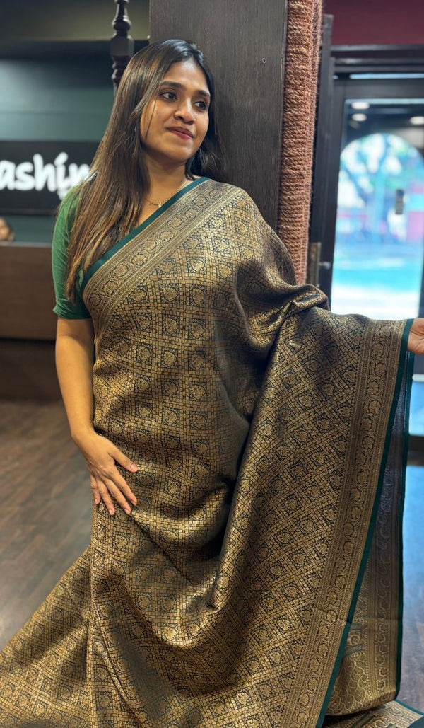 ORGANZA SAREE 14112463