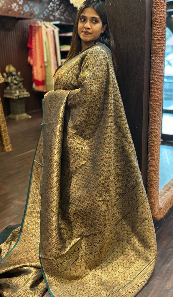 ORGANZA SAREE 14112463
