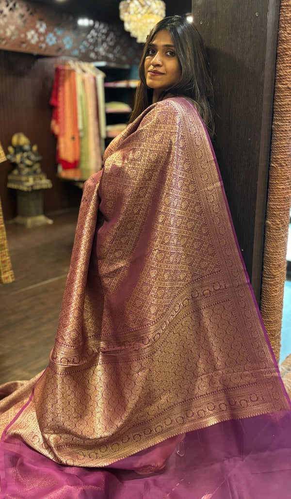 ORGANZA SAREE 14112460