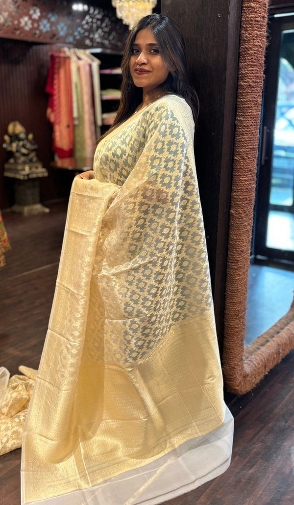 ORGANZA SAREE 14112421